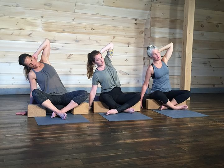 Teaching Oncology Yoga - the 75 Hour Certificate Program - Image 9