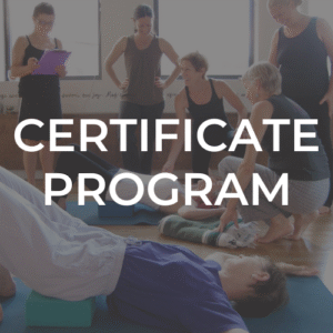 Teaching Oncology Yoga - the 75 Hour Certificate Program