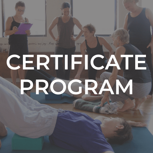 Teaching Oncology Yoga - the 75 Hour Certificate Program