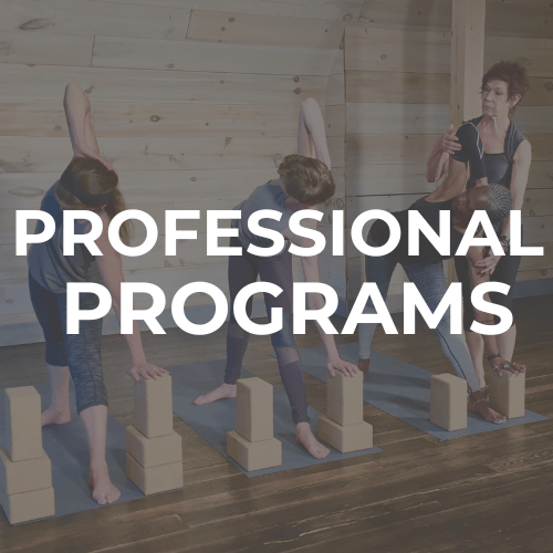 Certified Teacher Exclusive: Payment Plan for 75 Hour Program